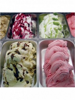 Ice cream conservator, 4-8 tastes "white"