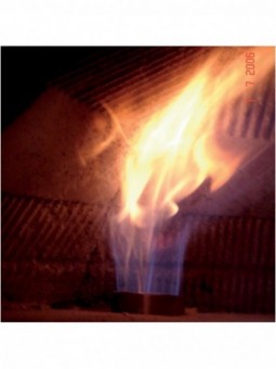 Gas burner for oven with fire resistant vault
