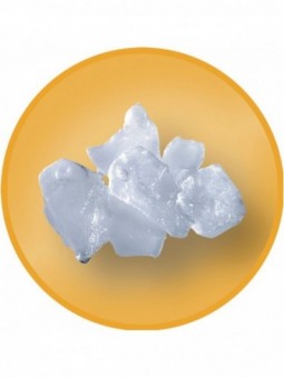 Flake ice maker 400 kg without storage - WATER