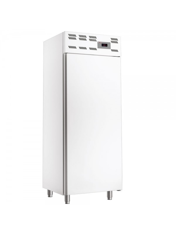 Armoire congelation 20x EN 600x400, statique, (500 Lit.) - Skinplate blanc