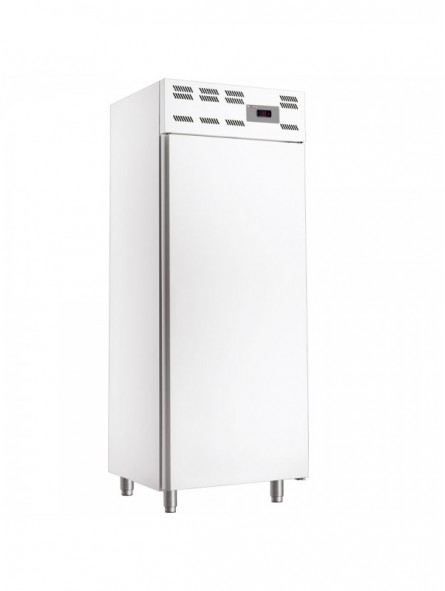 Armoire congelation 20x EN 600x400, statique, (500 Lit.) - Skinplate blanc