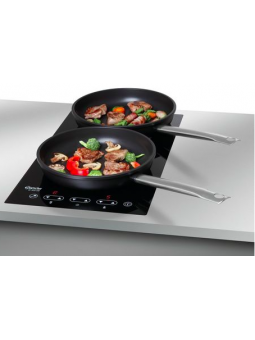 PLAQUE A INDUCTION ENCASTRABLE IK 30S-EB