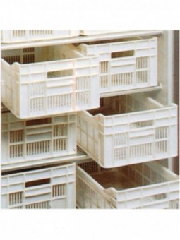 Kit consisting of 12 polyethylene trays 500x300xh175 mm