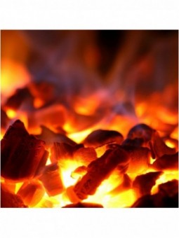 Four-BBQ  à charbon, GN 2/1+ GN1/1(150 Kg/h) - Porte relevable /Inox