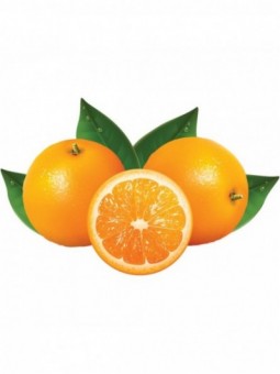 Automatic citrus press
