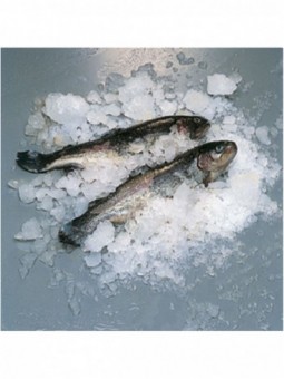 Ice flake maker 900 kg (without storage) - WATER