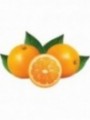 Presse-oranges automatique - compact