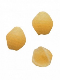 matrice bronze "conciglie"