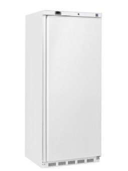 ABS 600L freezer