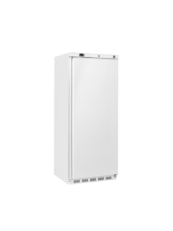 ABS 600L freezer