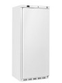 ABS 600L freezer