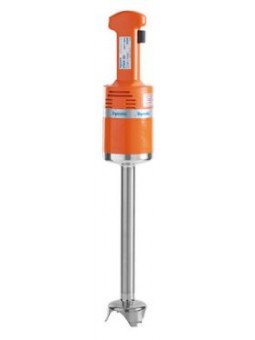 Mixeur plongeur SENIOR MX 300 30cm.