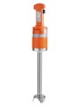 Mixeur plongeur SENIOR MX 300 30cm.