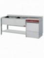 Assembly sink/dish washer