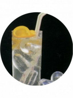 Hollow ice cube maker, 75 kg with reserve 37 kg