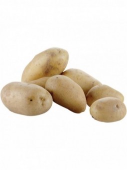 Table top potatoes peeler (5 kg)