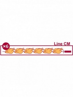 Chicken gas roaster, 8 spits (48 chickens)